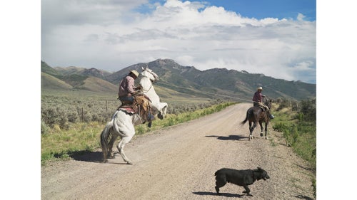 Casey and Rowdy training horses; 71 Ranch, Deeth, Nevada, 2012.
When I first visited the rural West, I expected to find nomadic cowboys on horseback, ghost towns, and wilderness. The image of Casey and Rowdy training horses in some ways comes closest to symbolizing ranching today. The landscape is still iconic, the horse is rearing, but Casey is trying really hard not to fall off. There are still more cows than people in rural Nevada. The areas I photographed between 2006 and 2013 in Nevada, Texas, Wyoming, Idaho, New Mexico, and Montana are some of the least-populated regions in the United States.
Modern ranchers also use all-terrain vehicles, airplanes, or helicopters to round up their livestock. At many ranches, horses have become outdated. The 71 Ranch in Deeth, Nevada, consists of 38,000 acres of semiarid farmland and still employs cowboys to herd cattle on horseback. Here, Casey Higgins trains his horse not to rear when a cow pulls back on the rope.