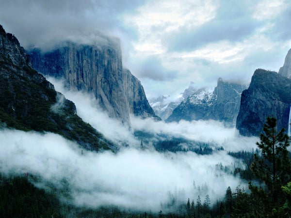 Homicides in the 54 national parks are rare; indeed, 64.5 million visitors thronged the parks in 1998, and remarkably, there were no murders.