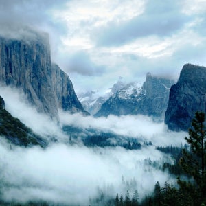 Homicides in the 54 national parks are rare; indeed, 64.5 million visitors thronged the parks in 1998, and remarkably, there were no murders.