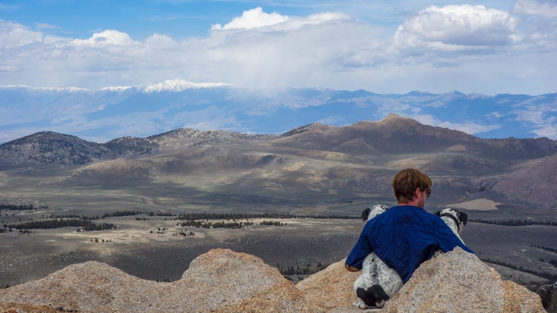 John and dogs look out over Coyote Flat from a nearby peak, White Mountains in the distance.