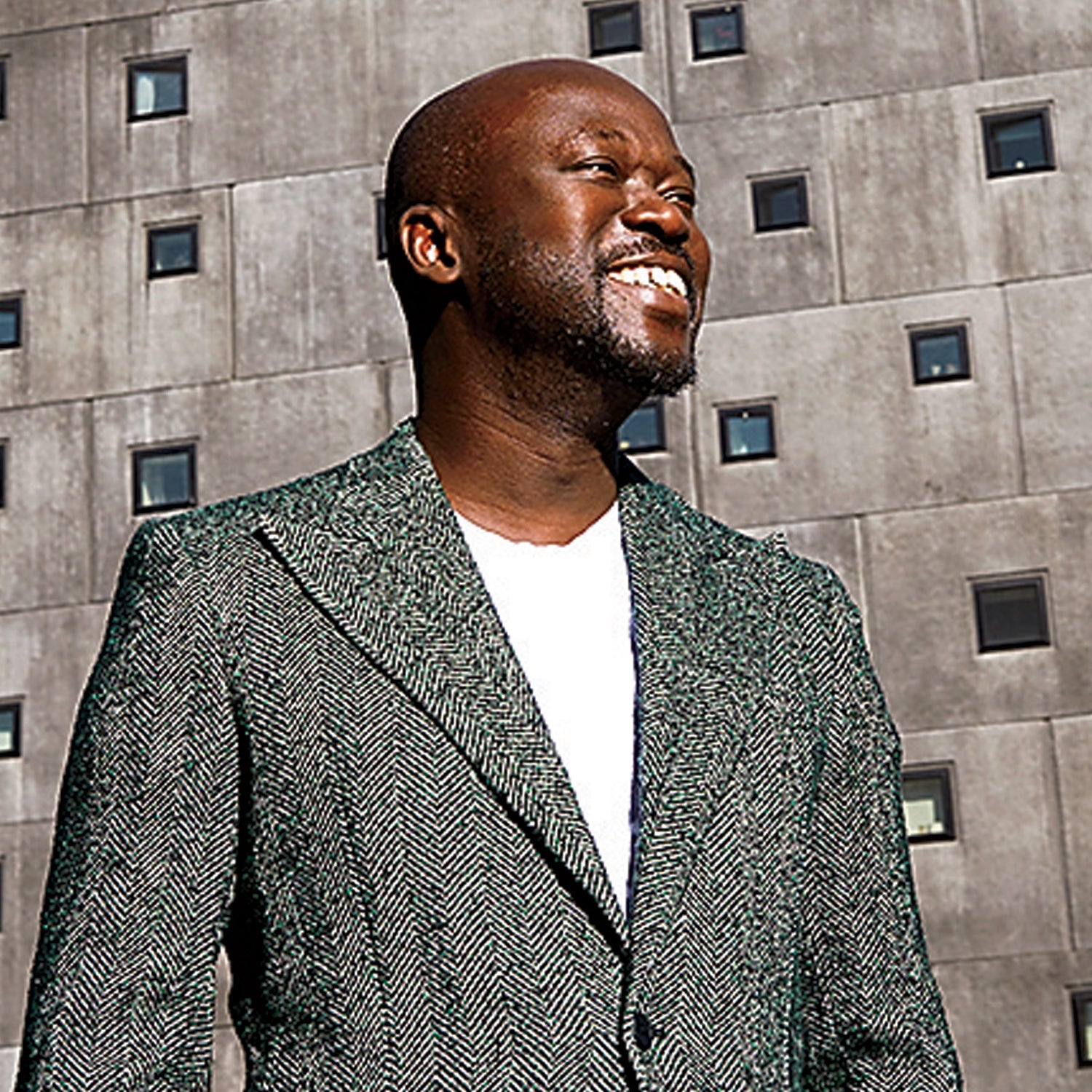 Architect David Adjaye.