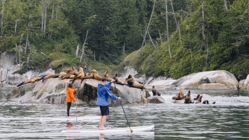 bc tourism summer