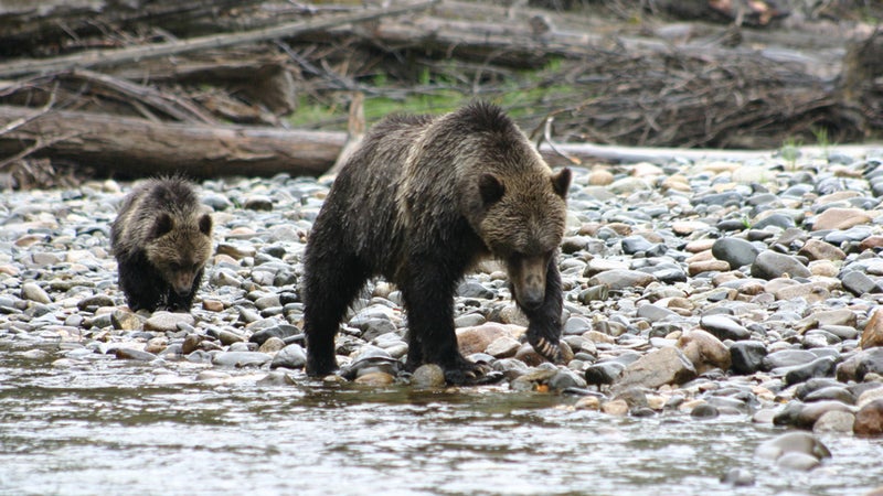 bc tourism summer