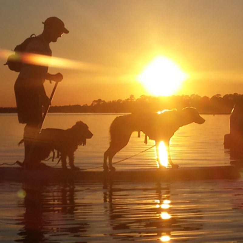 "Paddleboard on the Santa Rosa Sound at Sunset with two dogs."