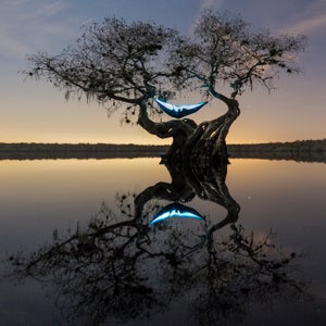 Sleeping with a view.