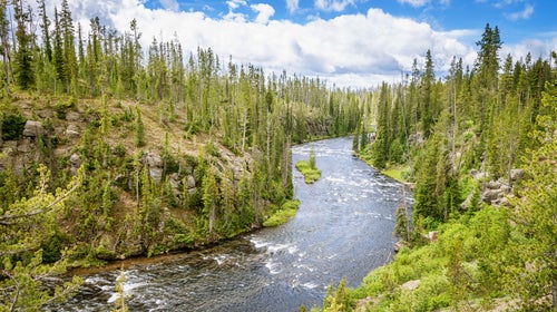 Can a Montana Recreation Waterway save the Yellowstone?