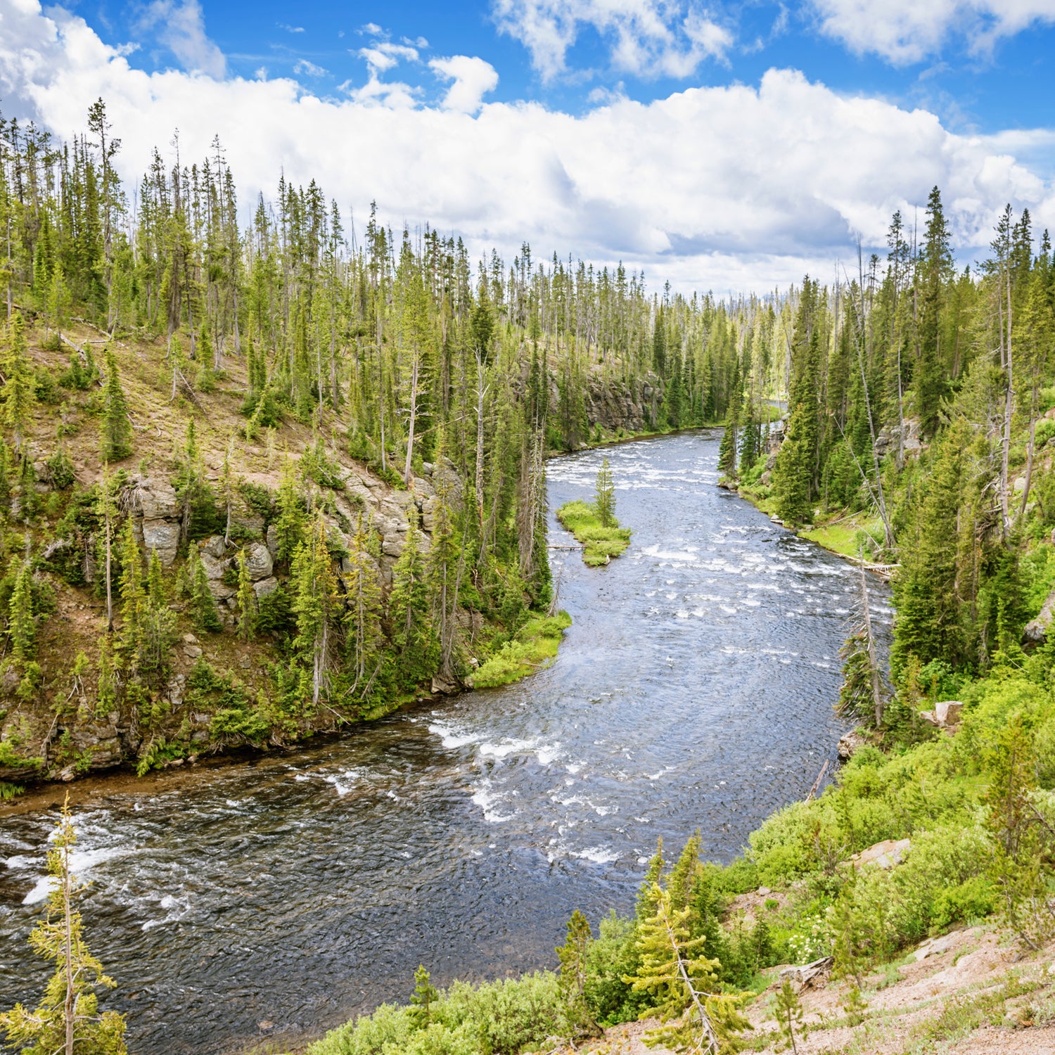 Can a Montana Recreation Waterway save the Yellowstone?