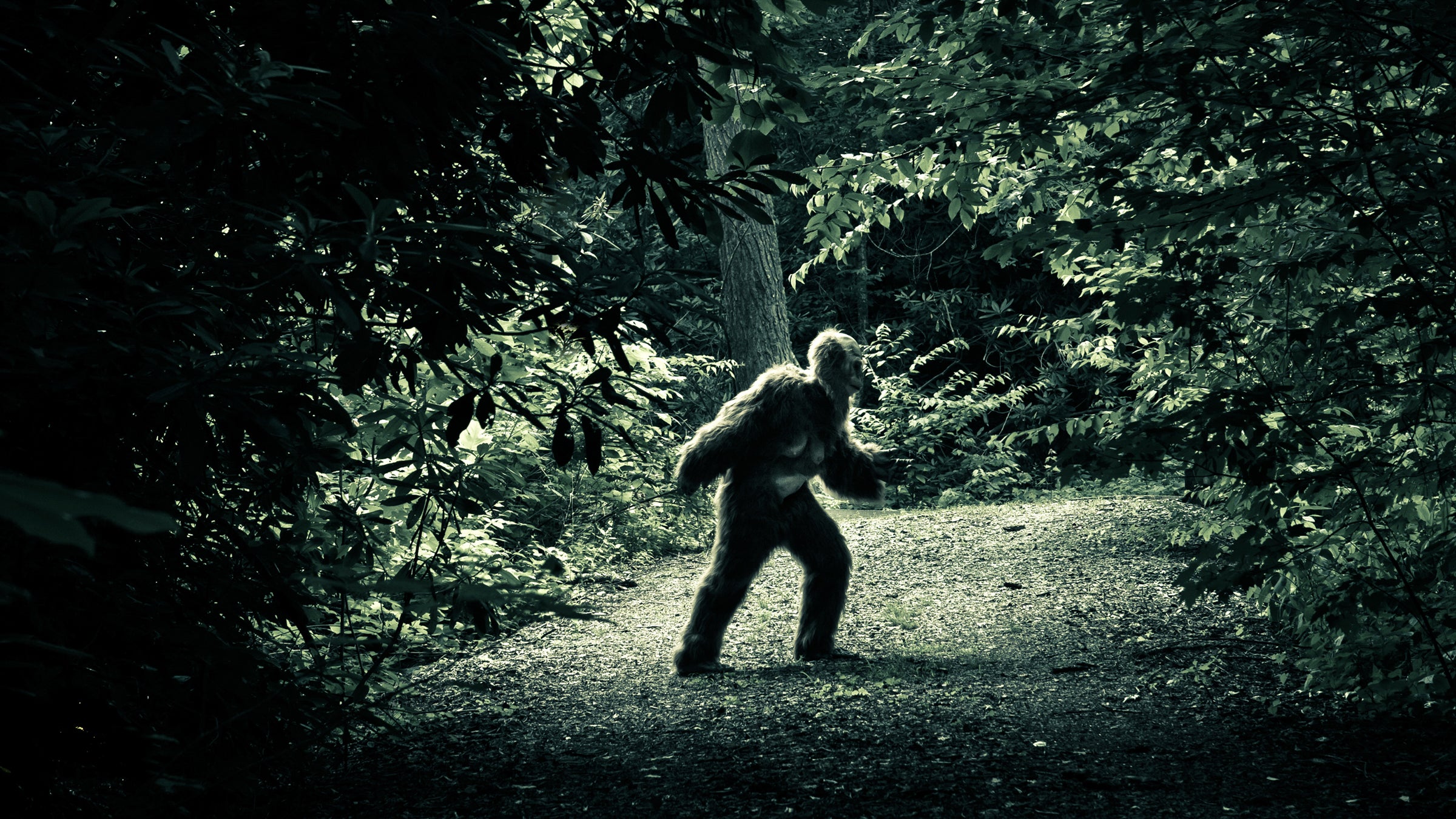 Bigfoot Encounters in Ohio: Quest for the Grassman