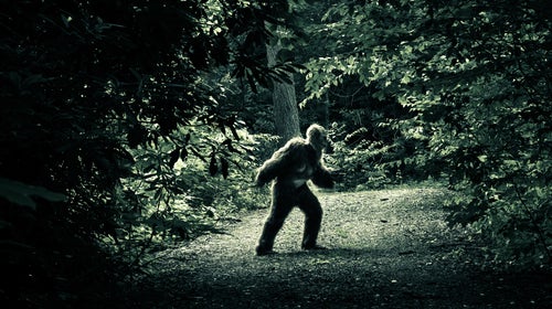 Bigfoot: Portrait of an Animal That May Not Exist