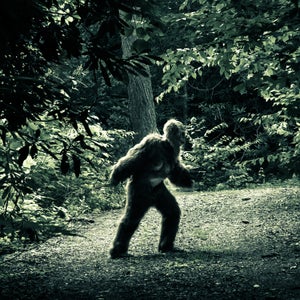 People have been spotting “Sasquatches” or “Yetis” or “Abominable Snowmen” for centuries, but it’s only recently that man has made a study of what Americans usually call Bigfoot.