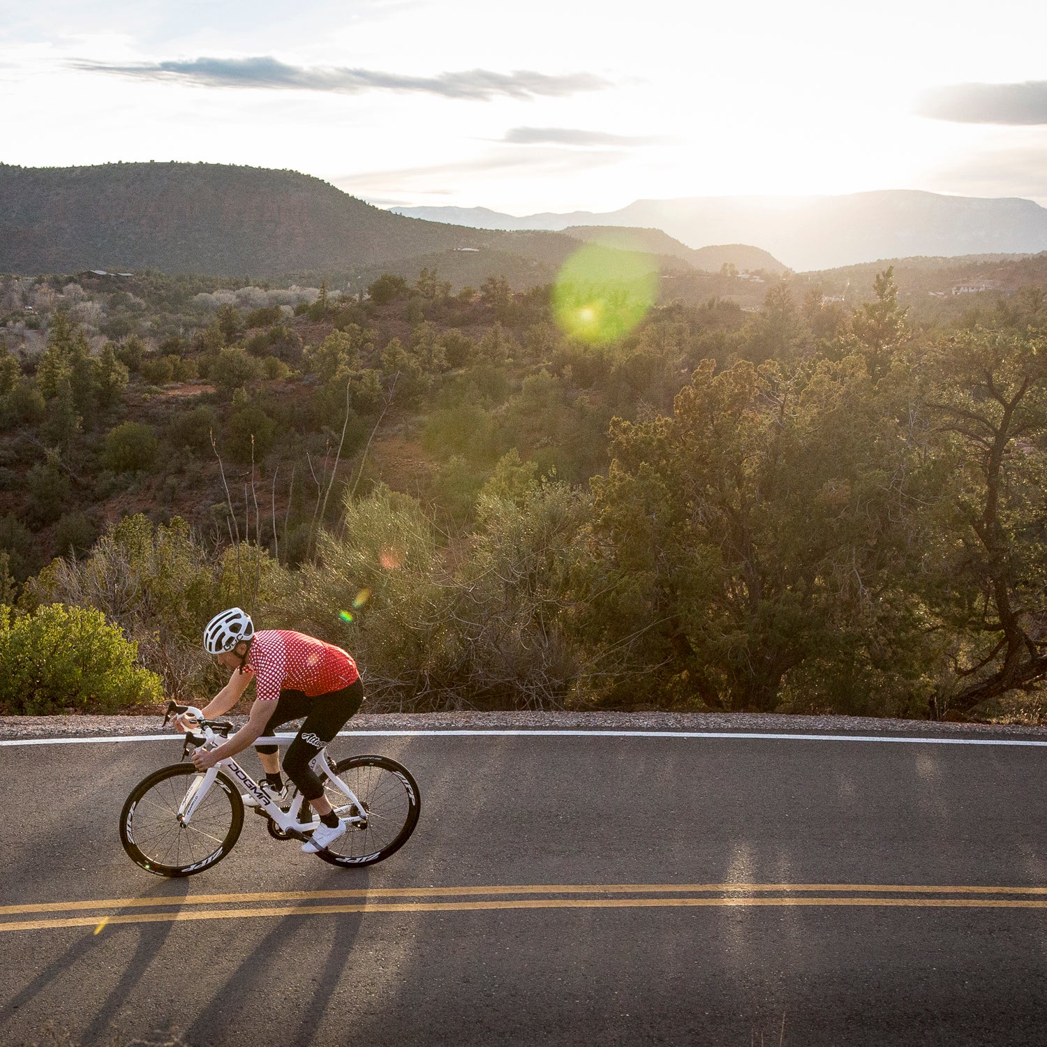 Pinarello f8w store