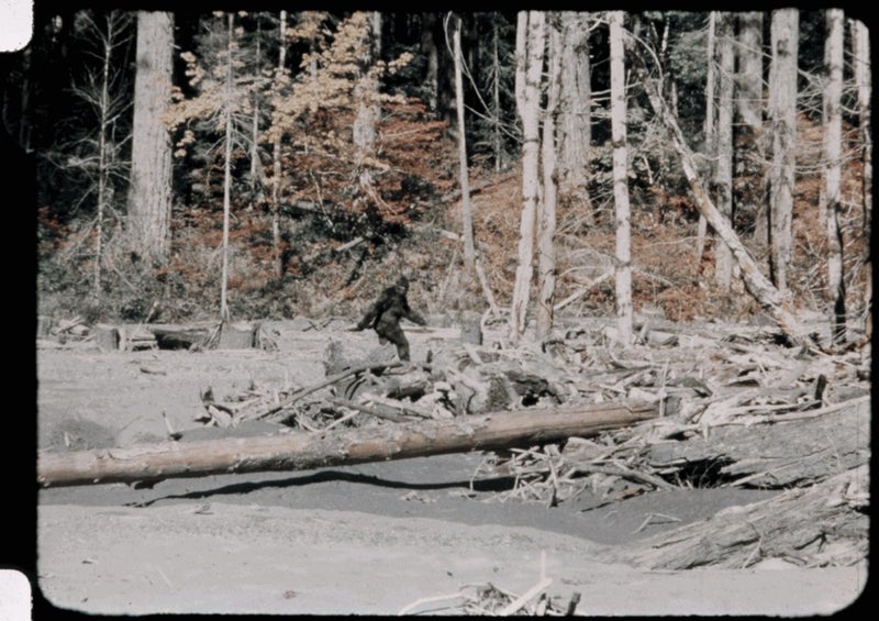 Cowboy behind legendary Patterson-Gimlin Bigfoot film marks 50th