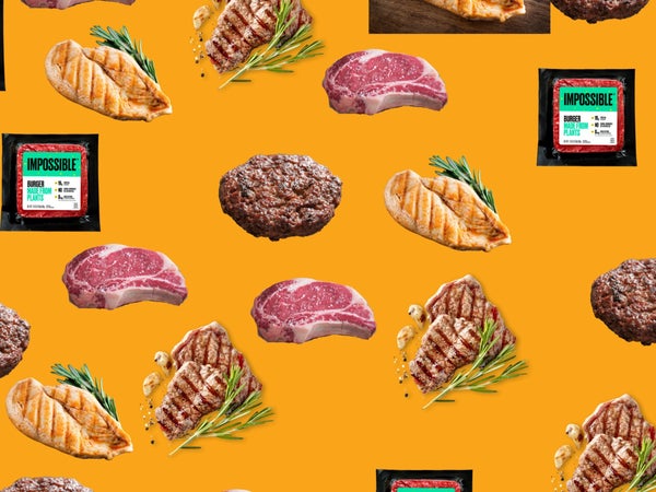 Different kinds of meat