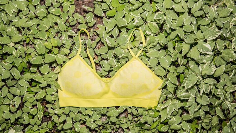 Axie summer kit.