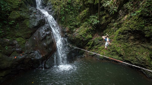 Mason tricklines through Hilo’s Botanical Gardens. Tricklines are the most difficult to rig, because they have to act like trampolines, but still be taught enough to walk like tightropes. “You’re dealing with a lot more force,” Lewis says.