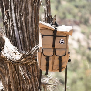 Cold beer? Right here.