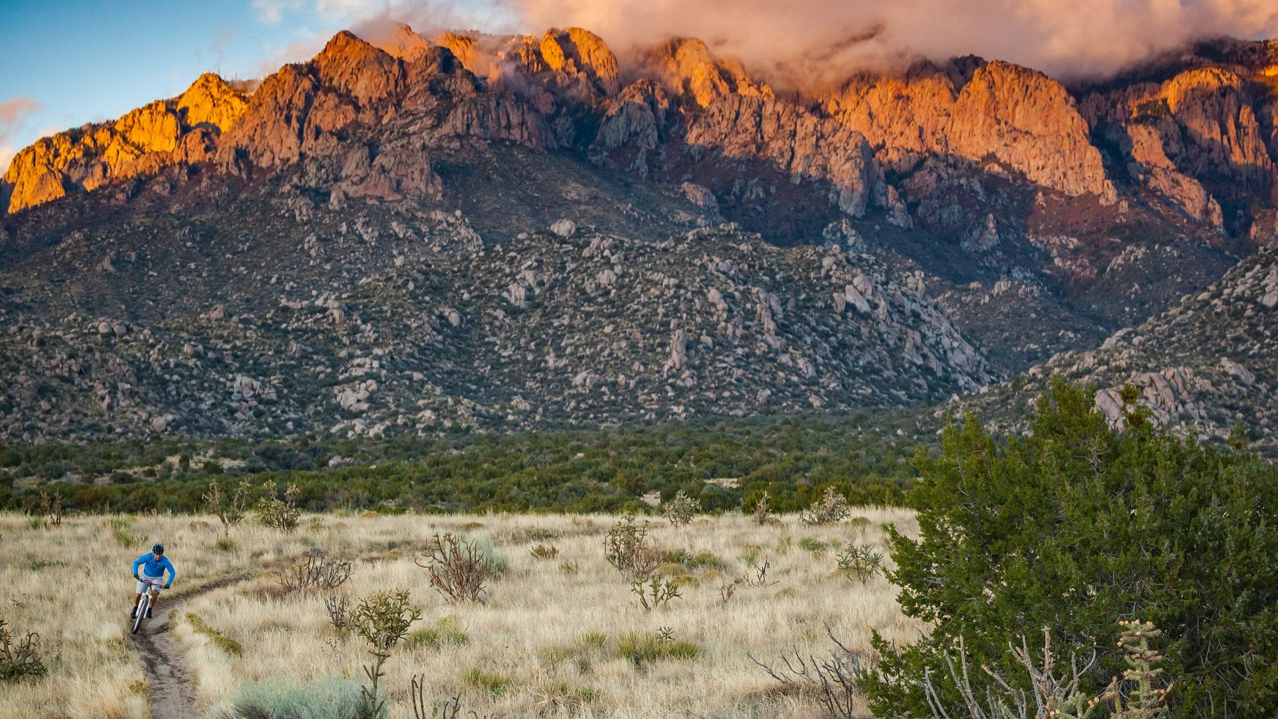 Senators Mike Lee (R-Utah) and Orrin Hatch (R-Utah) introduced legislation that, if passed, would reverse the nationwide ban on mountain biking in wilderness areas.