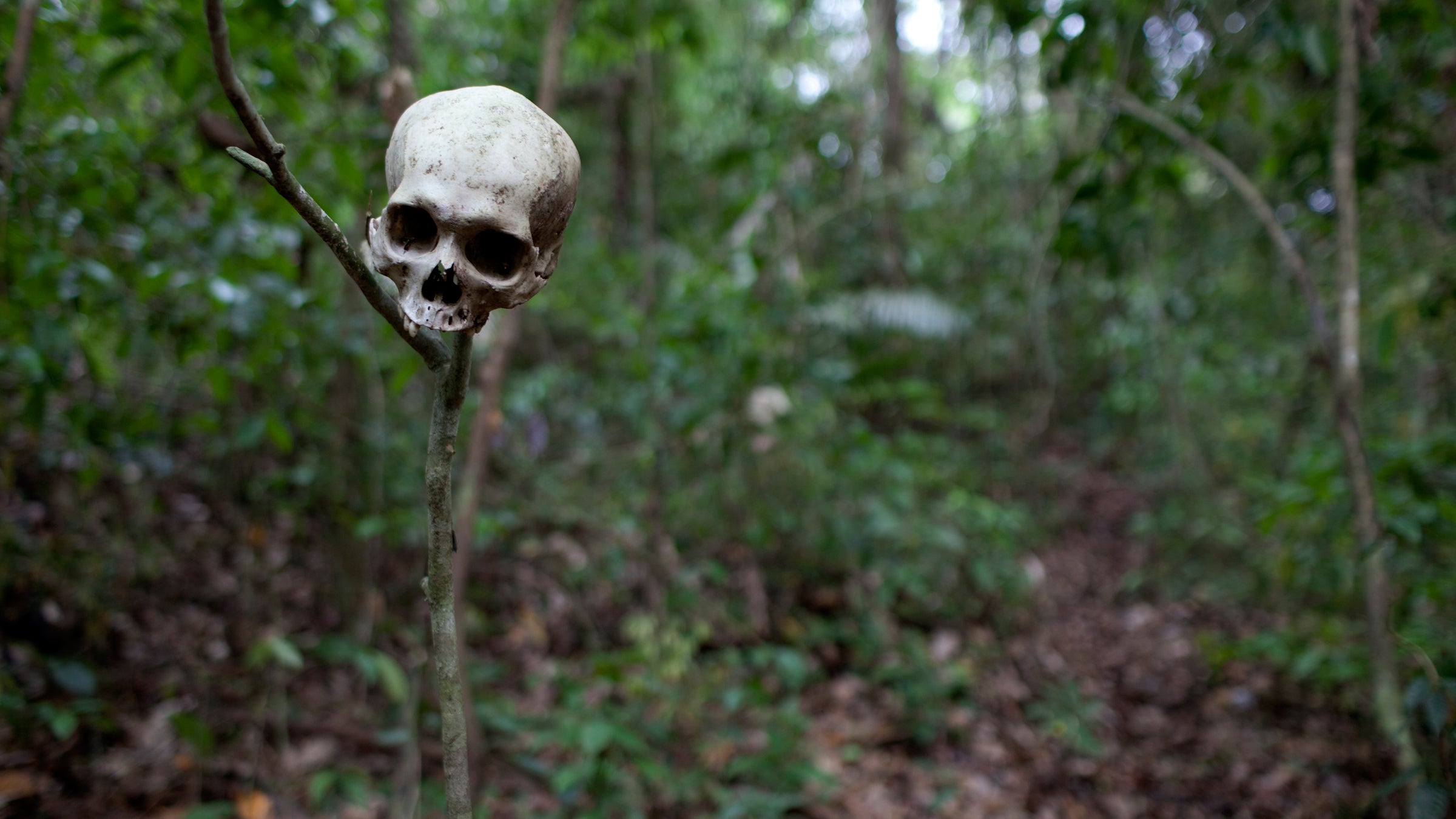 The Darién Gap Worlds Most Dangerous Jungle