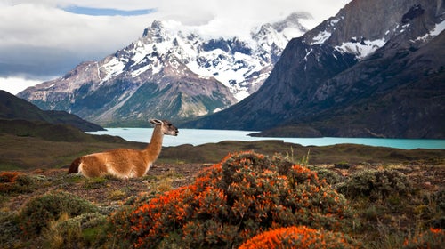 American conservationists have identified more than 100 potential new national parks.