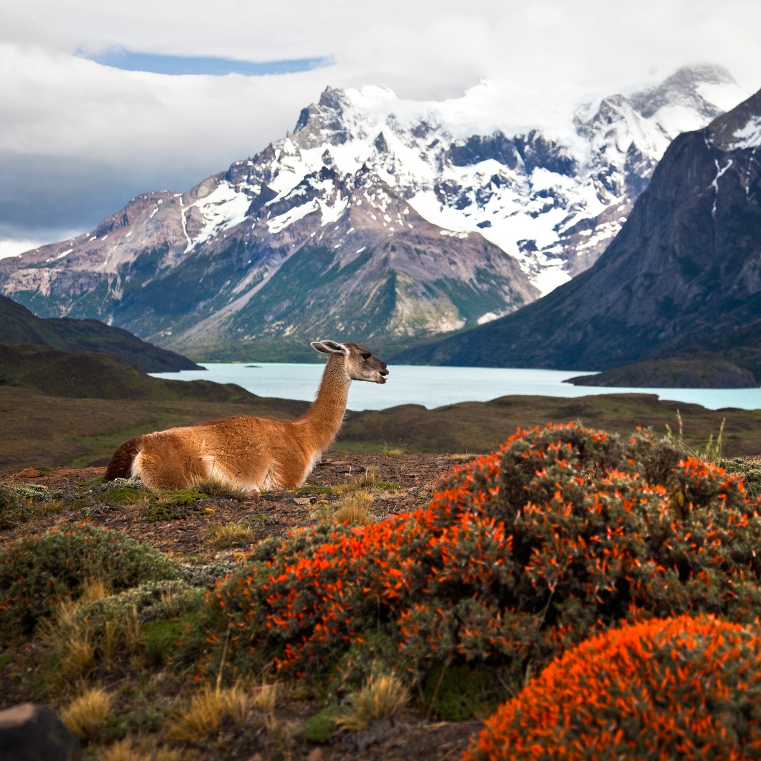 American conservationists have identified more than 100 potential new national parks.