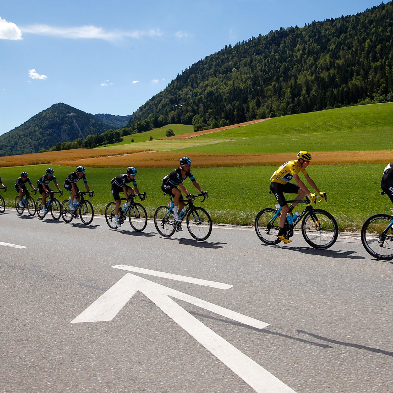 On average, each Tour de France racer will consume as much as 8,000 calories per day, simply to keep up with the pack.