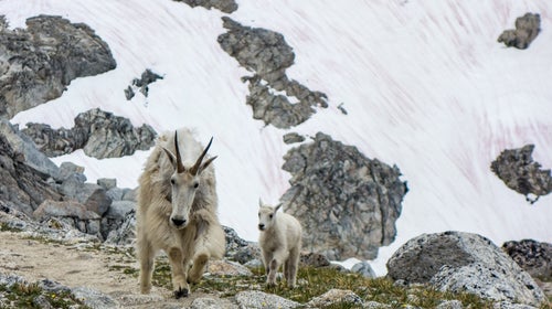 I took this photo last week on some of the National Forest land the GOP wishes to steal from you. The fact that wilderness like this exists in our country is, to me, a point of not only national pride, but also represents the kind of country I want to pass down to future generations. This land is what makes America great, right now.