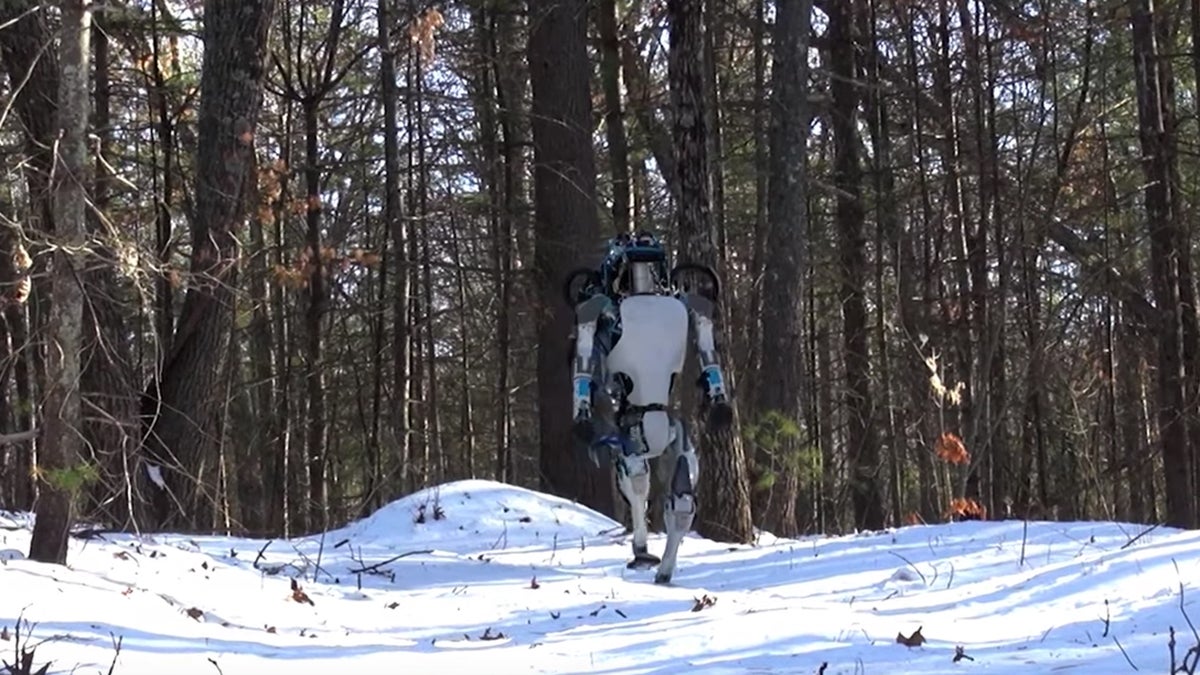 Why We're Now Sharing Our Trails with Robots