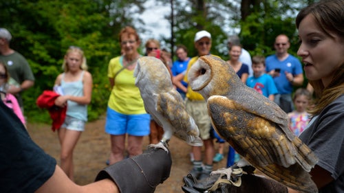 The Wild Center hosts school groups from around the county. Teachers can choose from a variety of customizable programs including hikes, live animal programs, and canoe trips.