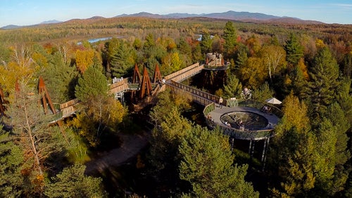 Steel poles help suspend the Wild Walk in the canopy. Along the walk, visitors can spot flying squirrels and 72 species of wild birds in the treetops overlooking the Adirondacks.