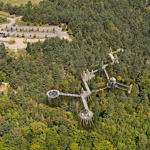 You’ve never seen the a museum like this. The Wild Walk is the latest addition to the Wild Center, a museum which promotes the education of the natural history of the Adirondacks, in upstate New York. “We wanted to create a museum that was situated in the natural environment,” says Board of Trustees Member Rick Godin.
Photo:The attraction features a four-story treehouse, swinging bridges, and a human-size spiderweb, all suspended 45 feet high in the canopy. The center, which hosts nearly 140,000 visitors every year, celebrates its tenth anniversary this year.