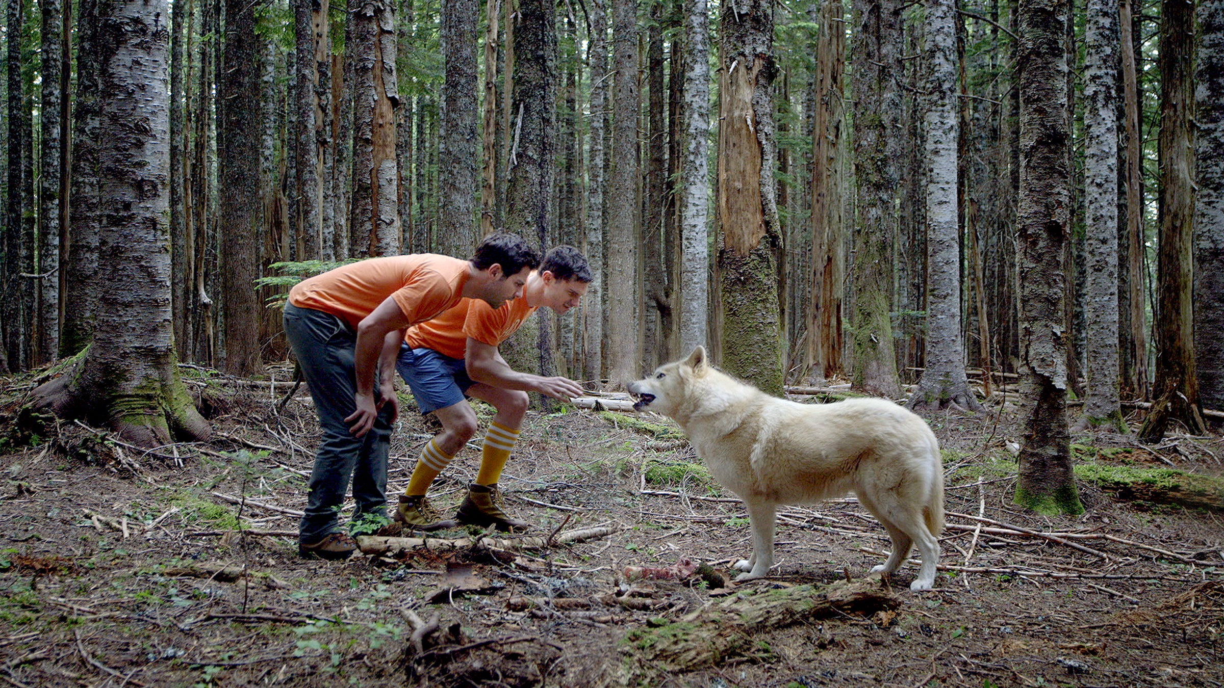 In 'Buddymoon,' David Giuntoli (left) and Flula Borg (right) have adventures of varying authenticity in the woods.