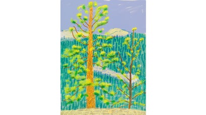 "Untitled No. 8" from "The Yosemite Suite"