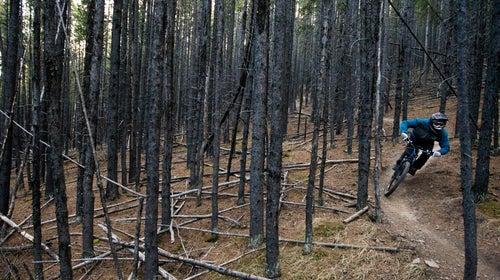 Outlaw trails that branch out from planned paths, often built by recreationists, have become a problem in many public lands.