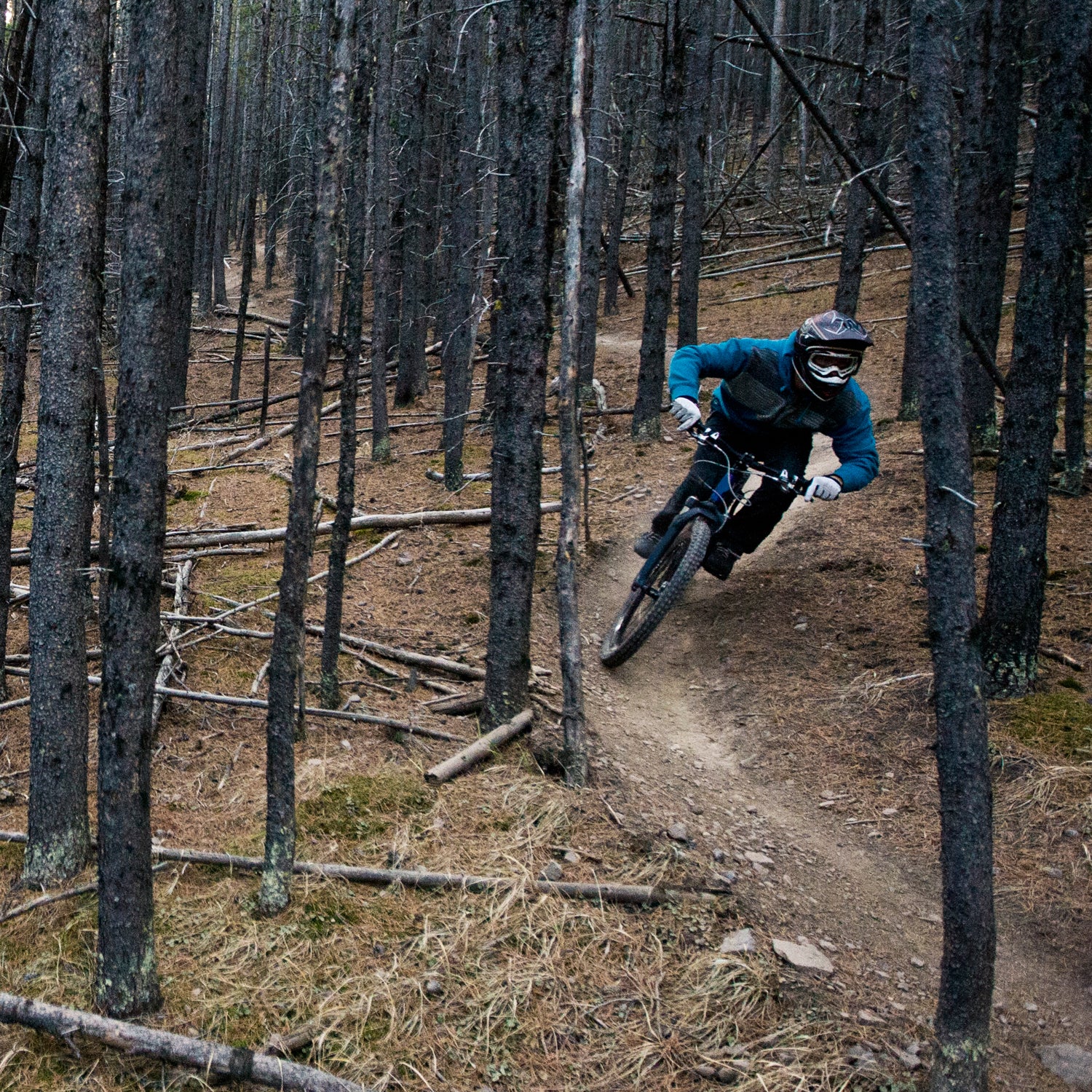 A male mountain biker rides a downhill bike trail in the forest.