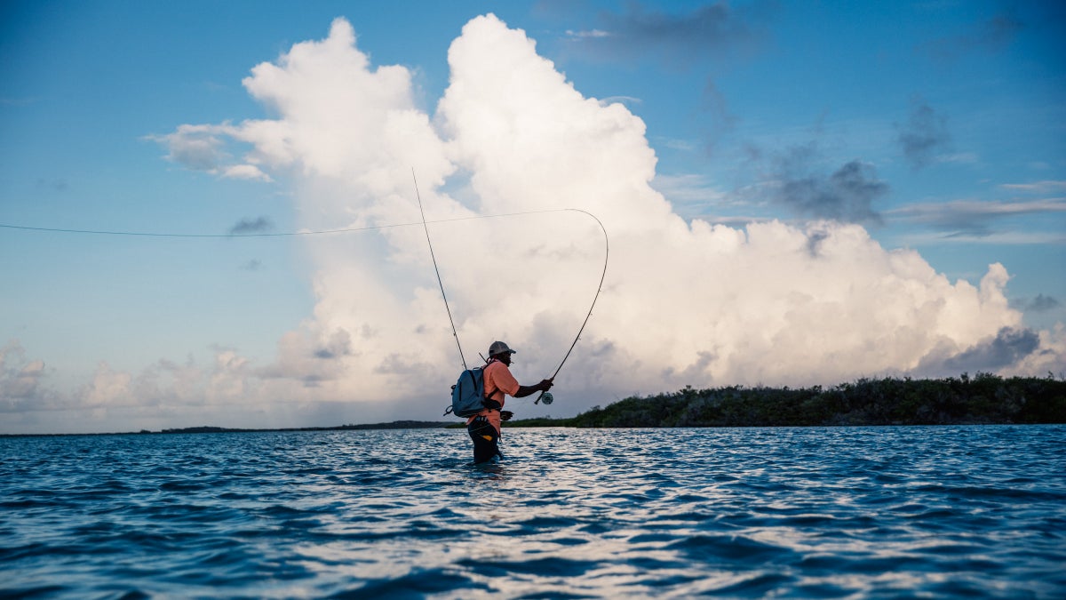 YETI's COSMO - Alphonse Fishing Company