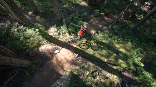 For a unique vantage and shot diversity, I headed into the canopy on a 24-foot extension ladder to shoot Uwe Homm.