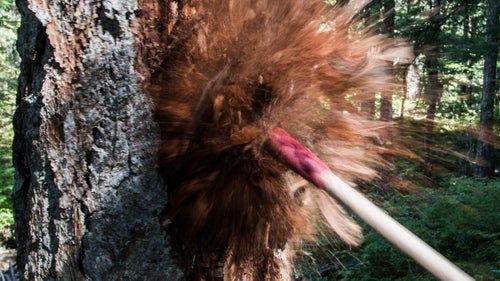 Widow makers (trees and branches ready to fall) and standing deadfall around bike trails need to be cleared for safety and future maintenance reasons.