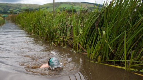The home of bog snorkeling is Llanwrtyd Wells, the smallest and weirdest town in Wales. Competitors at the World Bog Snorkeling Championships must wear snorkels and flippers, and they must complete the course without using conventional swimming strokes. Wetsuits are not mandatory, but the smarter swimmers sport them.