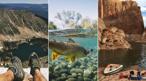 What We Did This Summer: A selection from the Instagrams of ԹϺ editors.