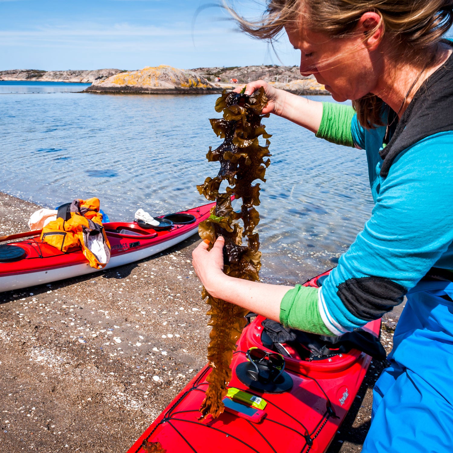 Catxalot is out to make seaweed the next foraging craze.