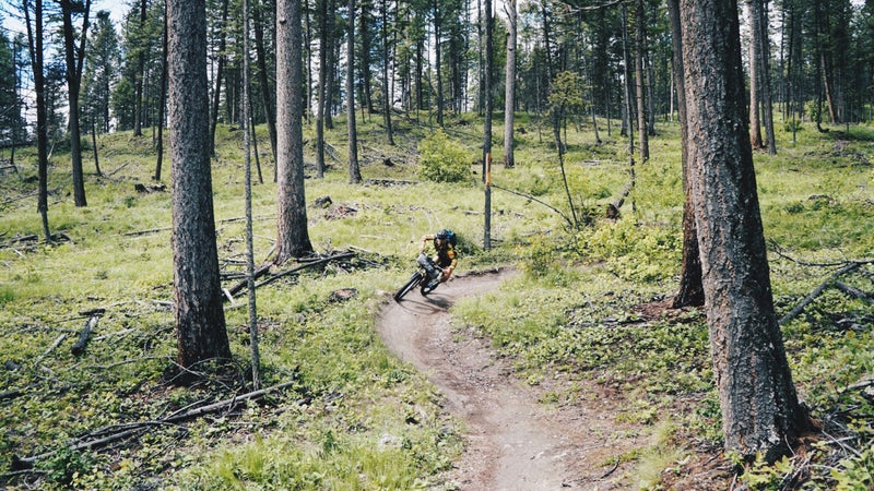 Tom Swallow speeds down a hill in Whitefish, Montana.