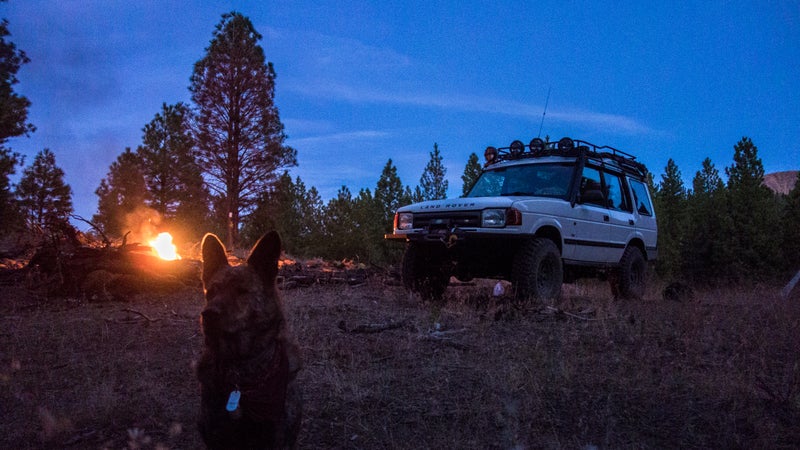 Wiley listens to the sounds of wolves howling. Nights like this are about all I need from life.