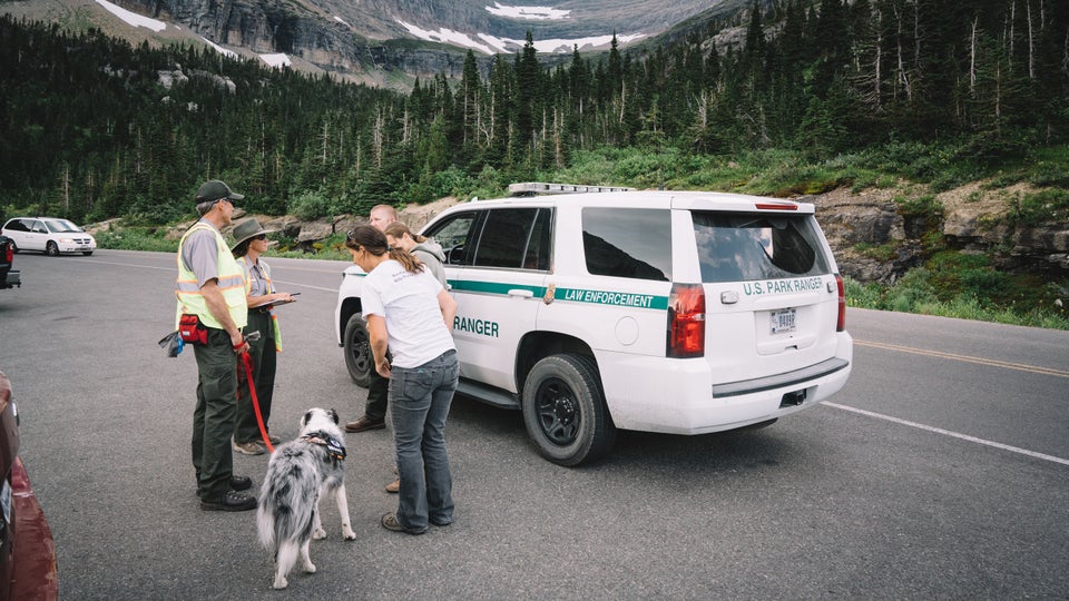 This Dog Is Out to Save National Park Wildlife - Outside Online