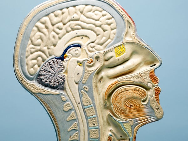 Get out of your head.