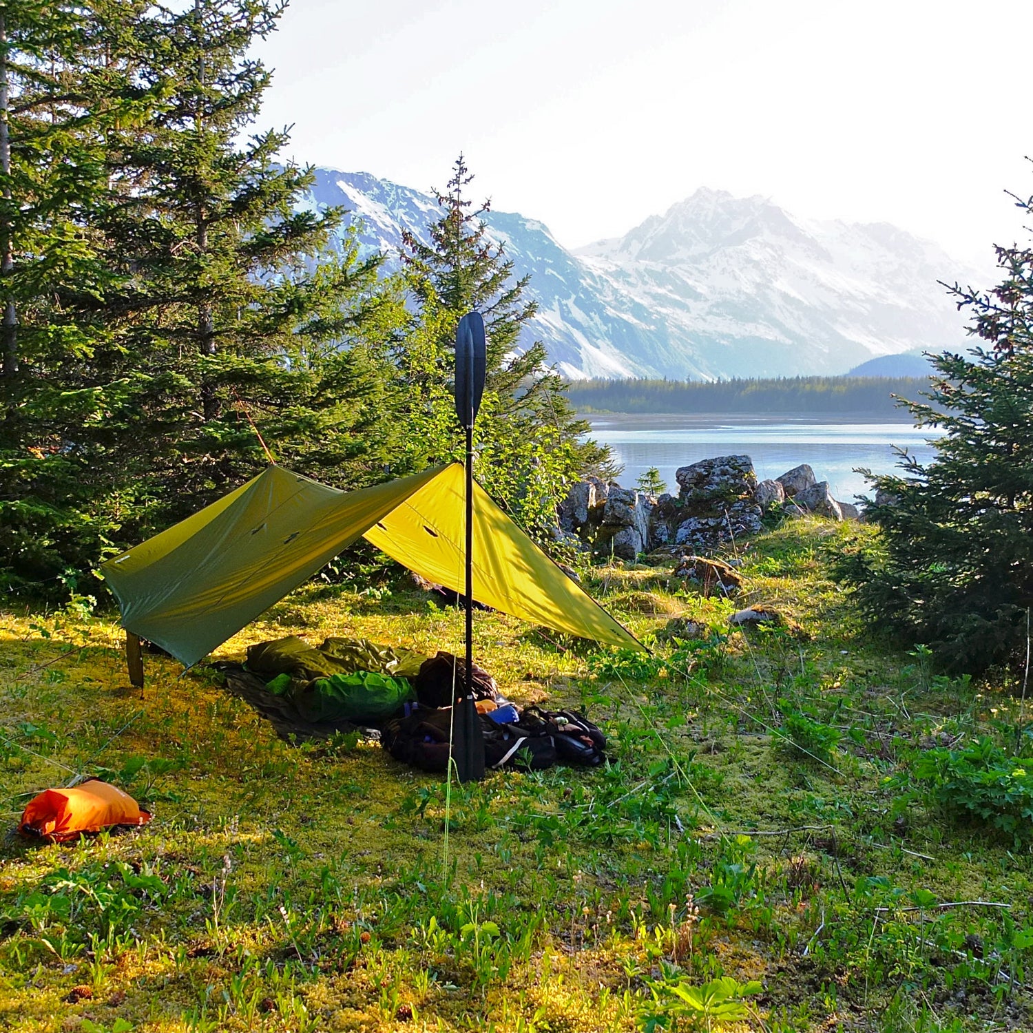 Camping shop tarp shelter