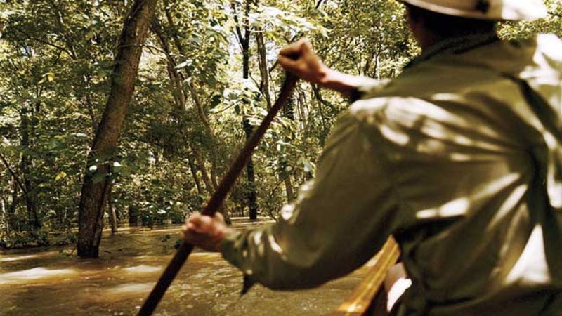 An unexpected slalom course near the Yazoo