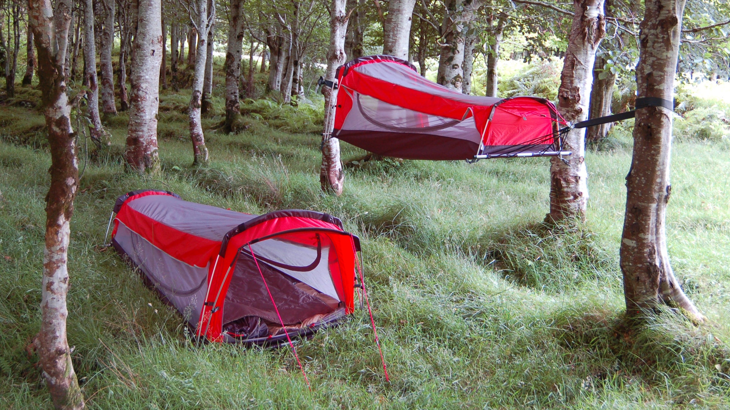 Tent or hammock? You decide.