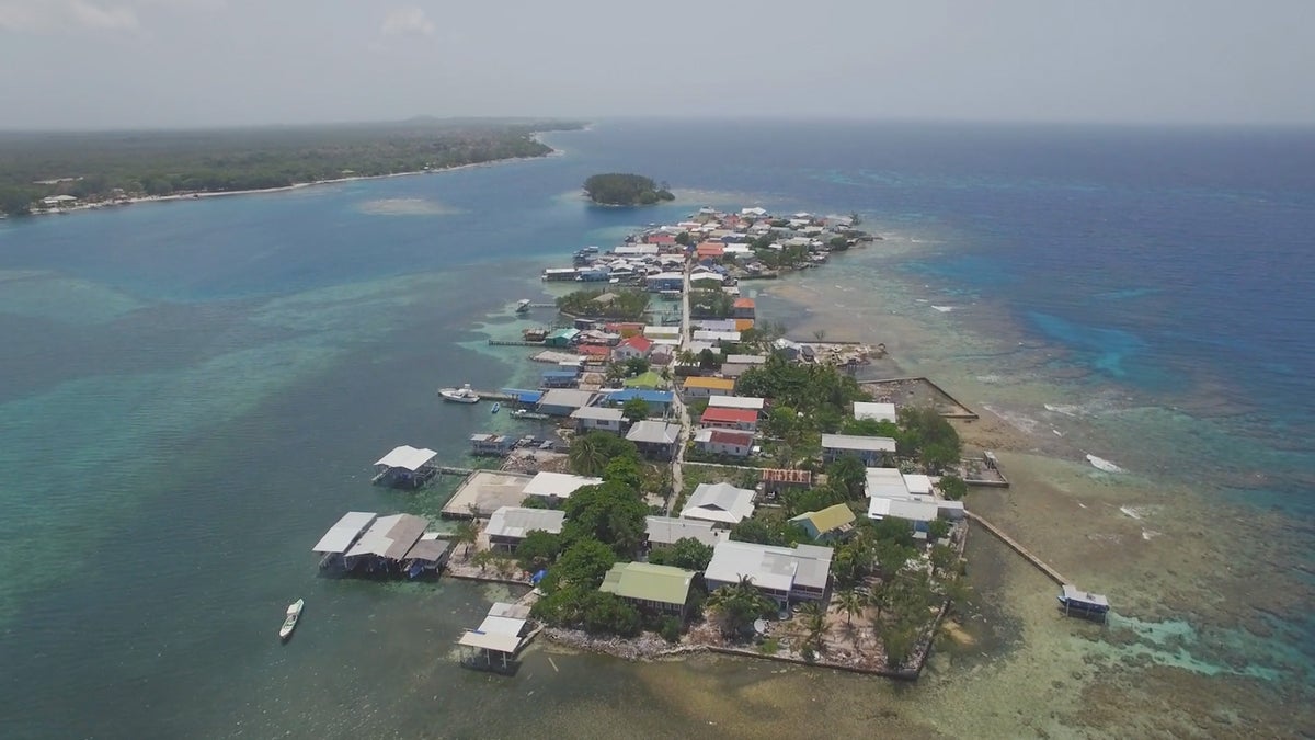 Exploring the Coral Reefs Around Roatan and Utila