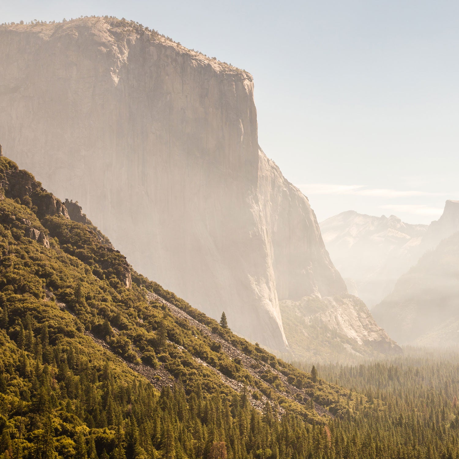 Neubacher's resignation comes amid a federal investigation into sexual misconduct allegations from female park employees at Yosemite and other national parks across the U.S.