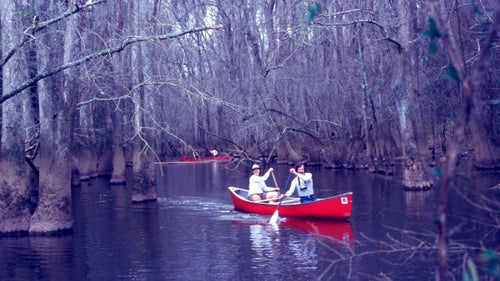 This undated photo from Congaree National Park, in South Carolina, shows a couple paddling Cedar Creek. The Cedar Creek Canoe Trail runs 15 miles through primeval old growth forest.